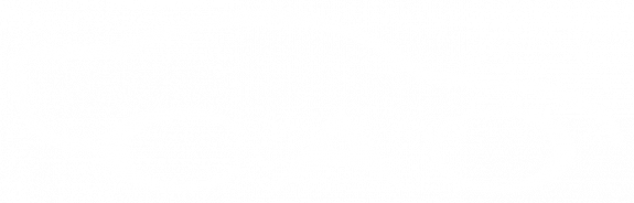 Centro Automotriz de Occidente S.A. de C.V.